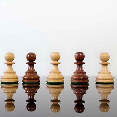 WOODEN CHESS PIECES