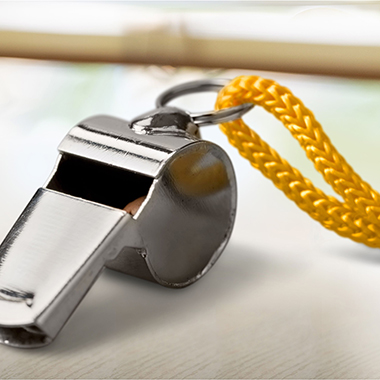 Whistle