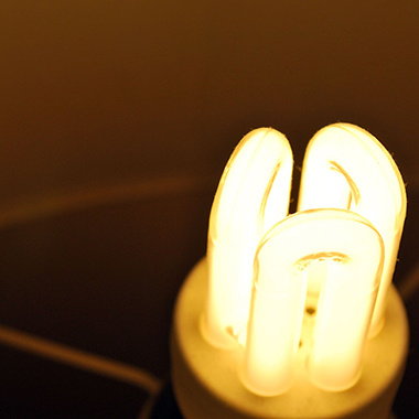 Light bulb