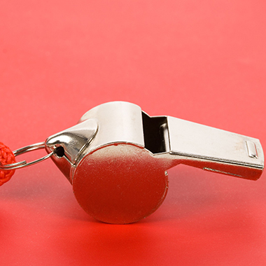 Whistle