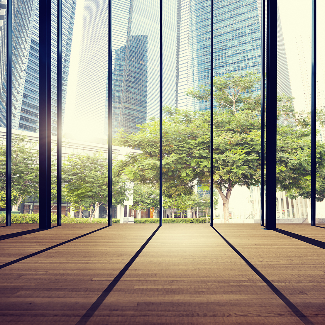 Looking out of Big Windows to Park and Office Buildings