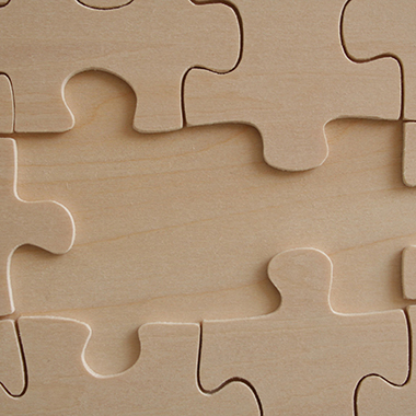 Missing Puzzle Pieces