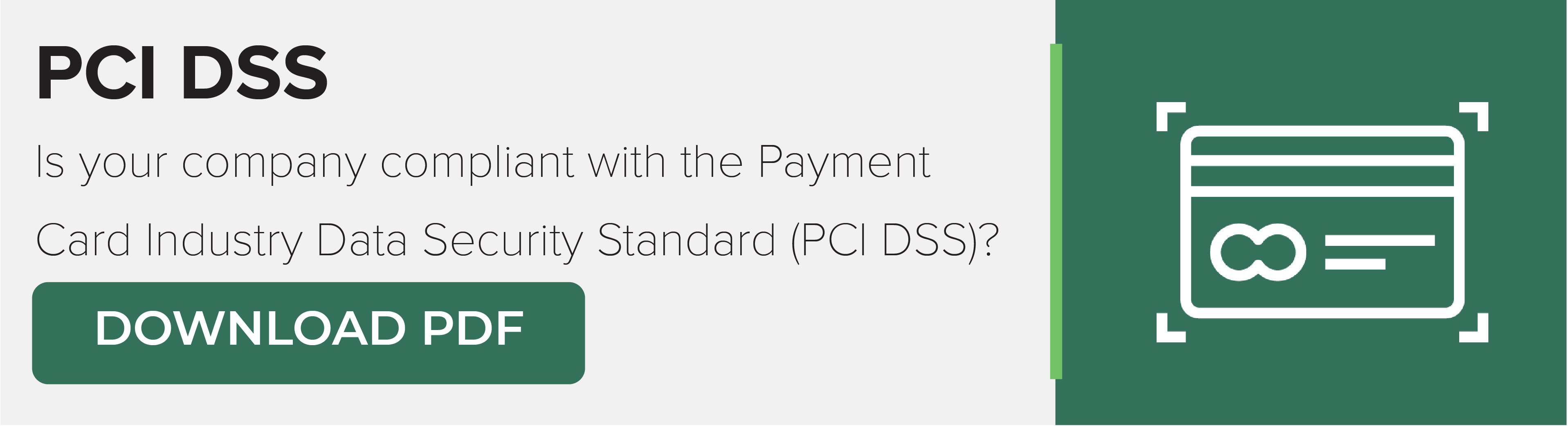 PCI DSS Download Button