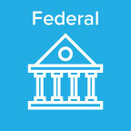 Government Icon - Federal