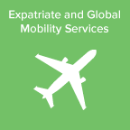 International Tax Expatriate and Global Mobility Services Icon
