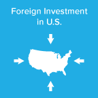 International Tax Foreign Investment in U.S. Icon