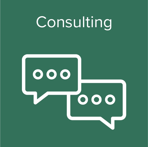 Risk Advisory Services - Consulting