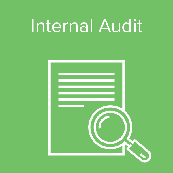 Risk Advisory Services - Internal Audit