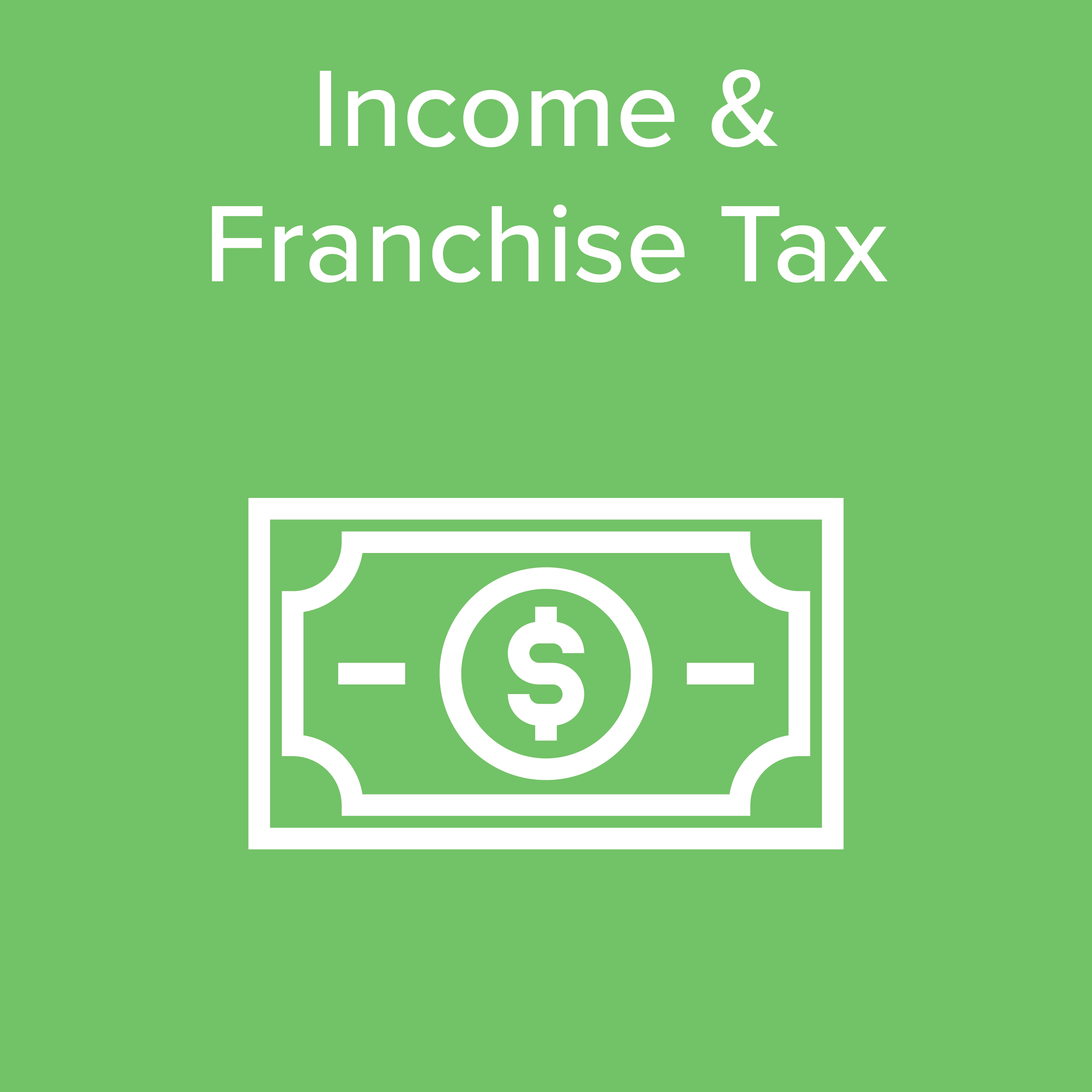 Income and Franchise Tax Icon
