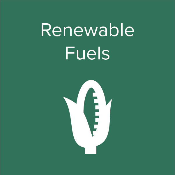 Energy Icon - Renewable Fuels