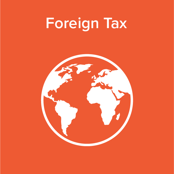 International Tax Foreign Tax Icon