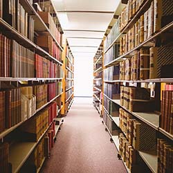 Higher Education: Community Colleges Services