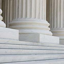Government Consulting Services