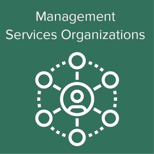 Healthcare Valuation Icon - Management Services Organizations