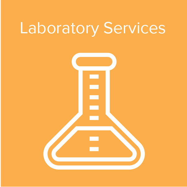 Healthcare Valuation Icon - Laboratory Services