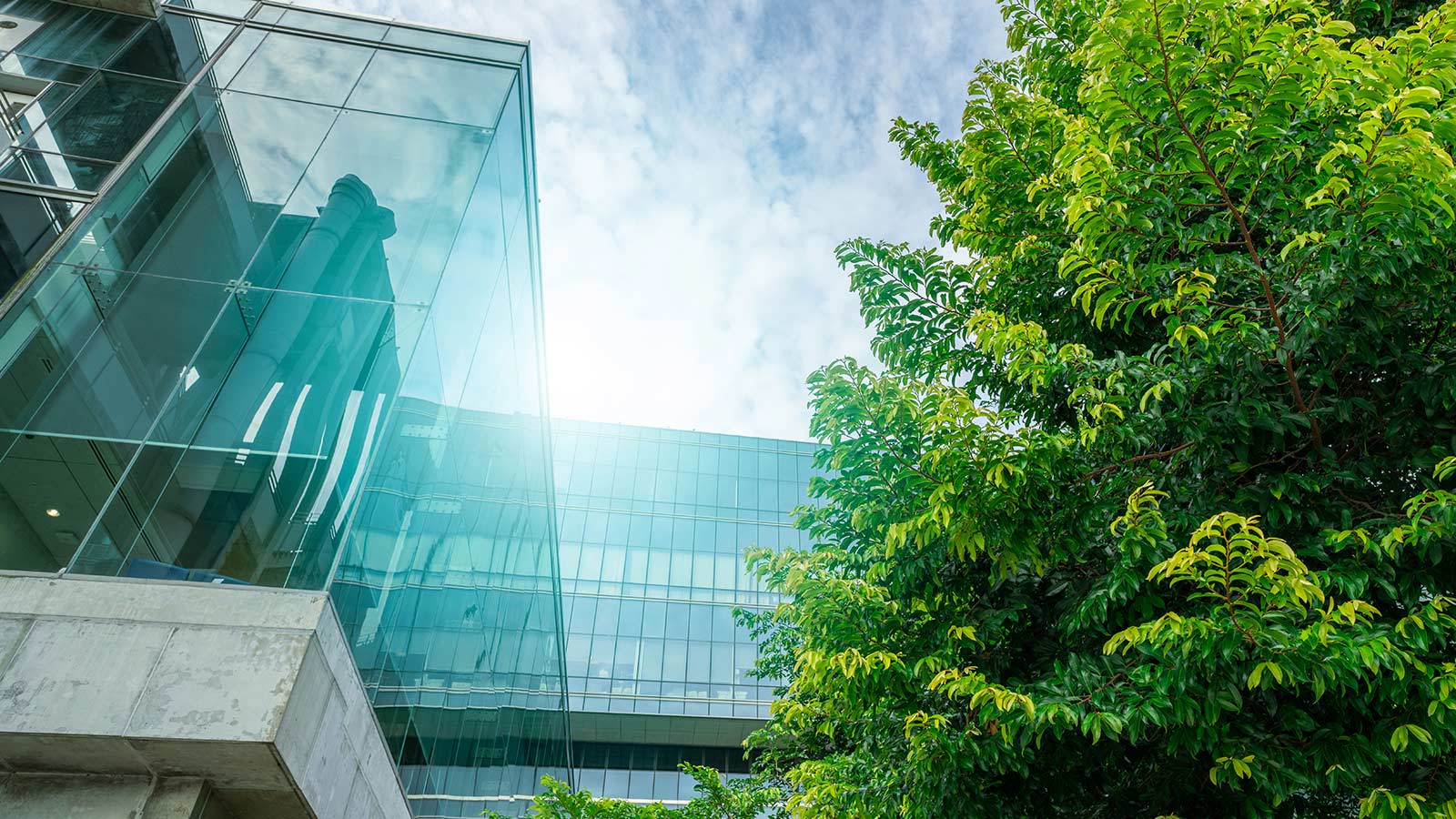 Sustainable green building. Eco-friendly building.