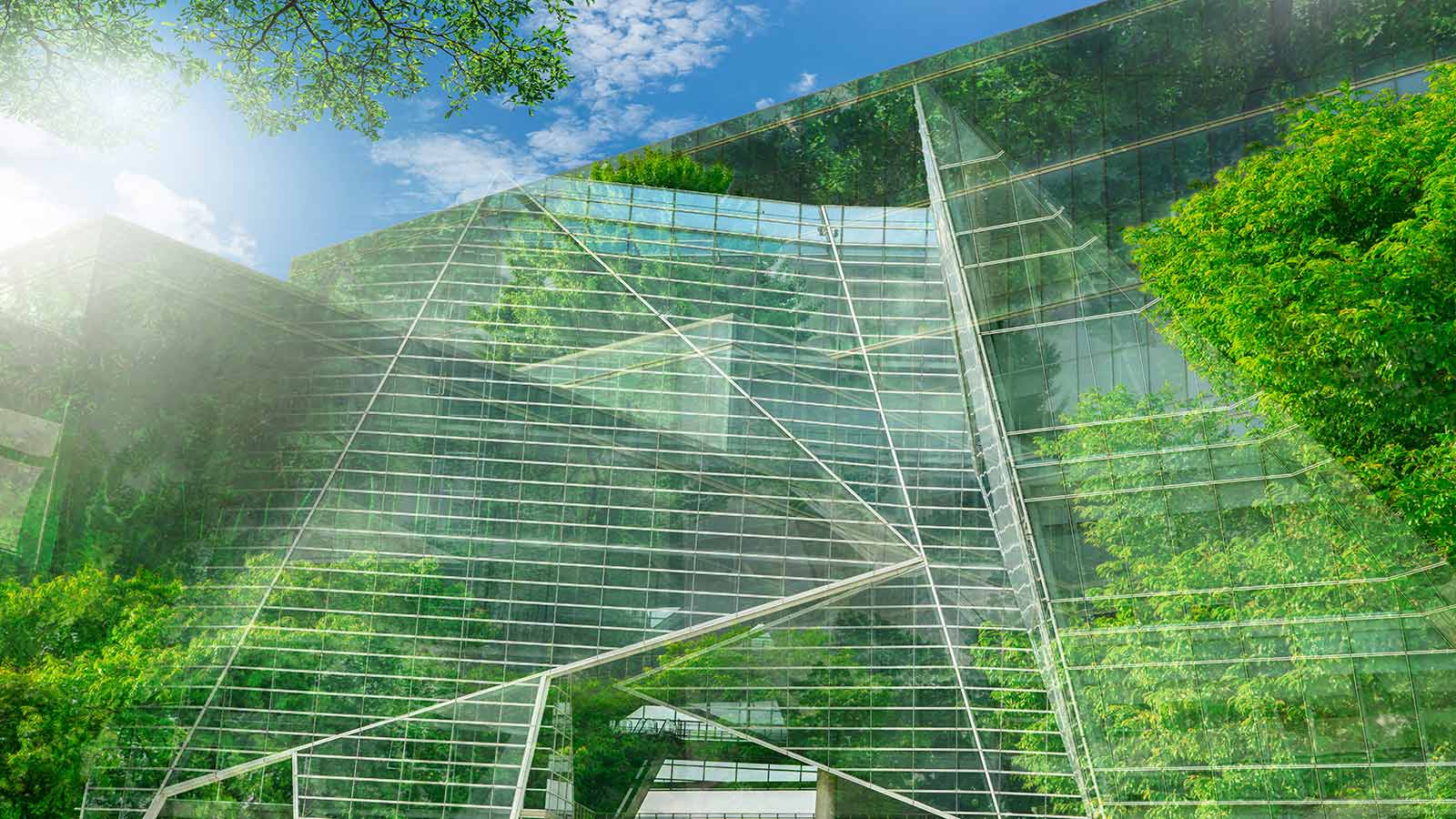 Sustainble green building. Eco-friendly building.