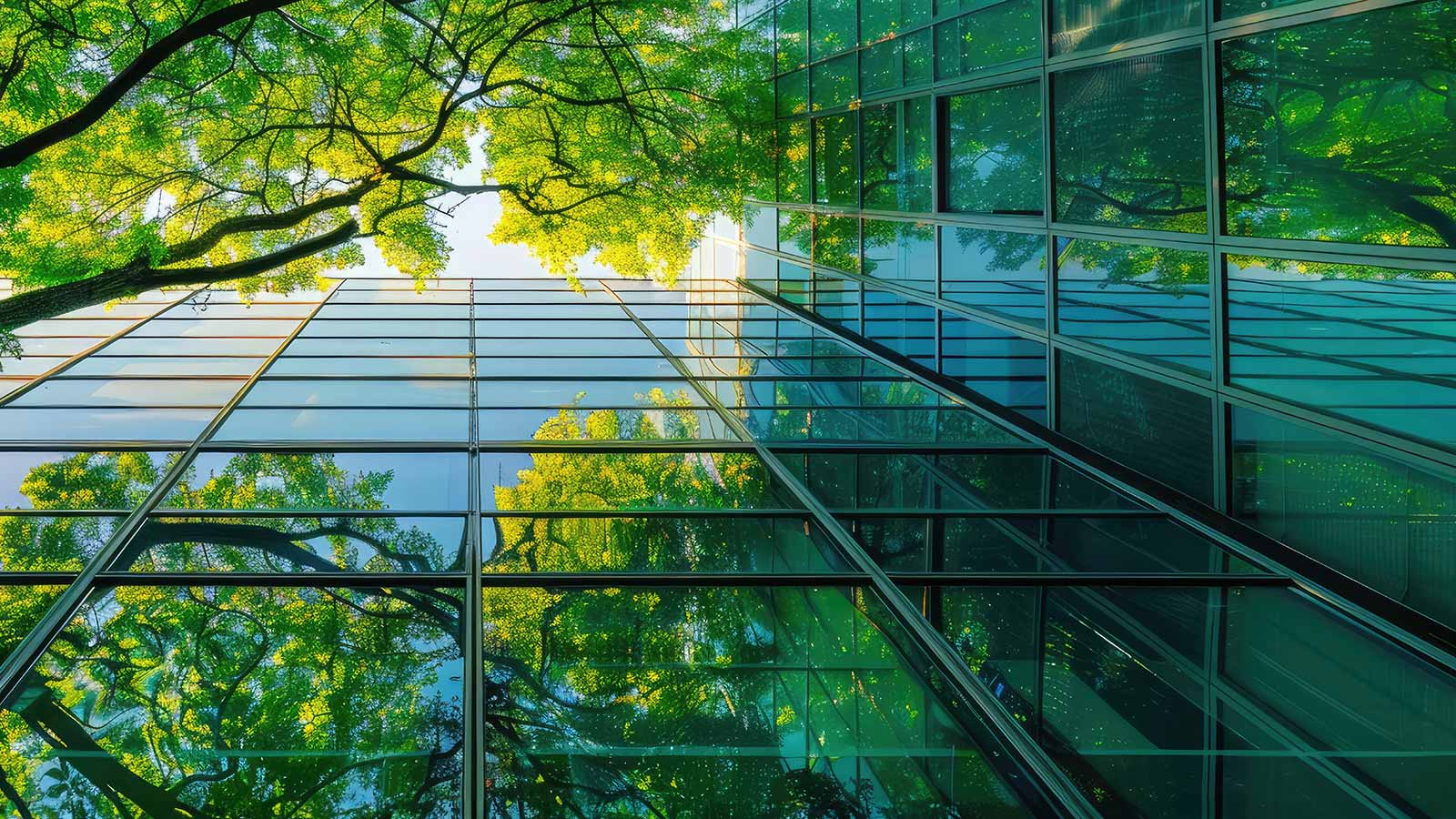 Sustainable glass office building with carbon reducing trees Office with a green environment.