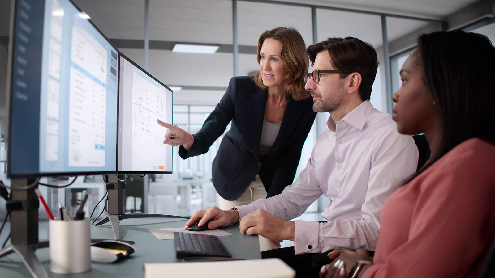 Coworkers using computer software