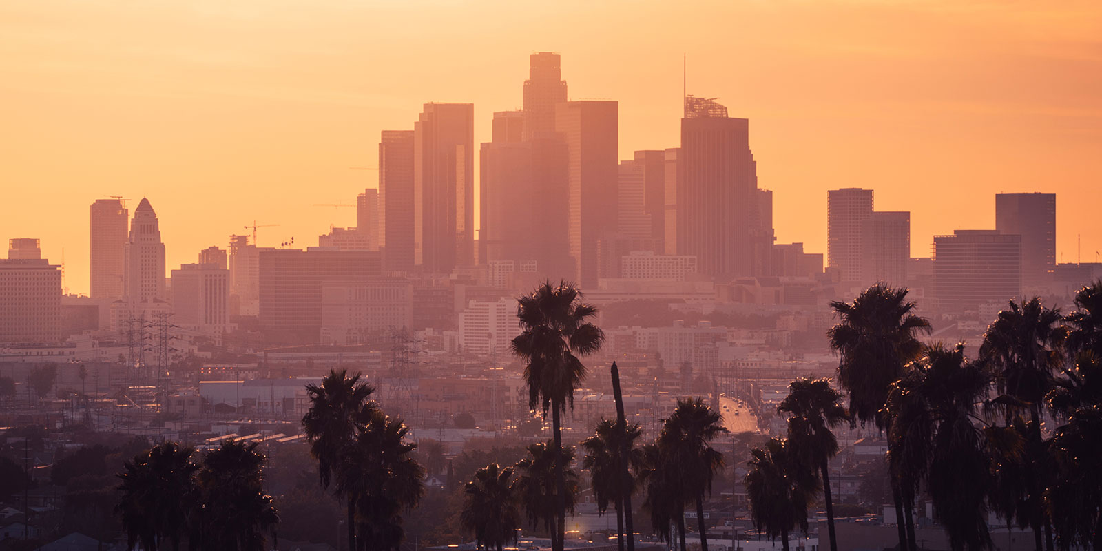 Los Angeles downtown with palm trees during sunset