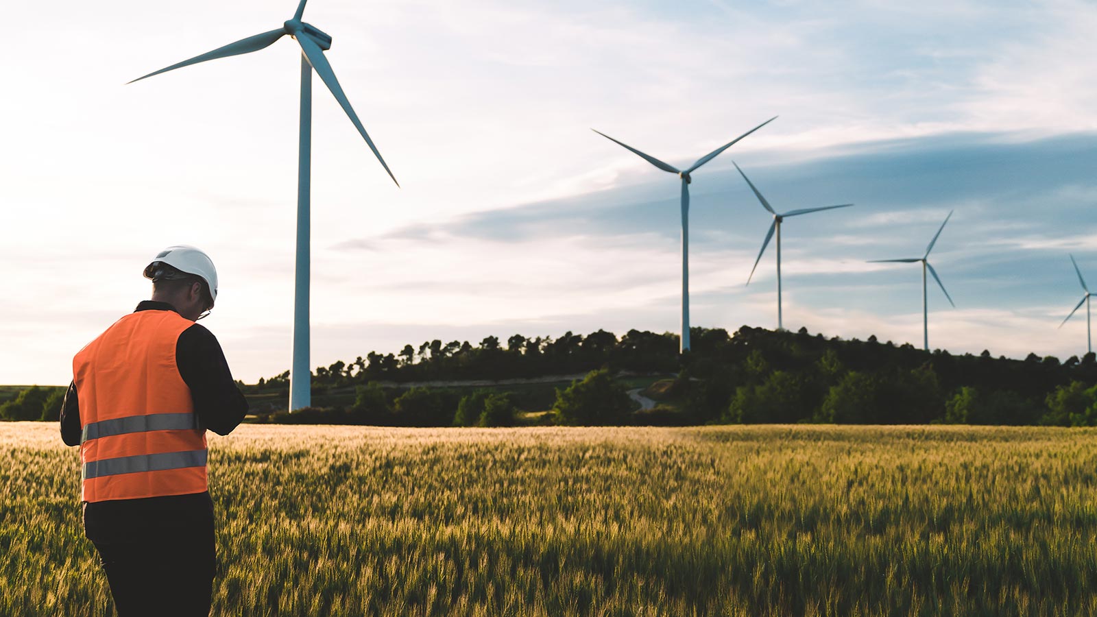 Engineer working at alternative renewable wind energy farm